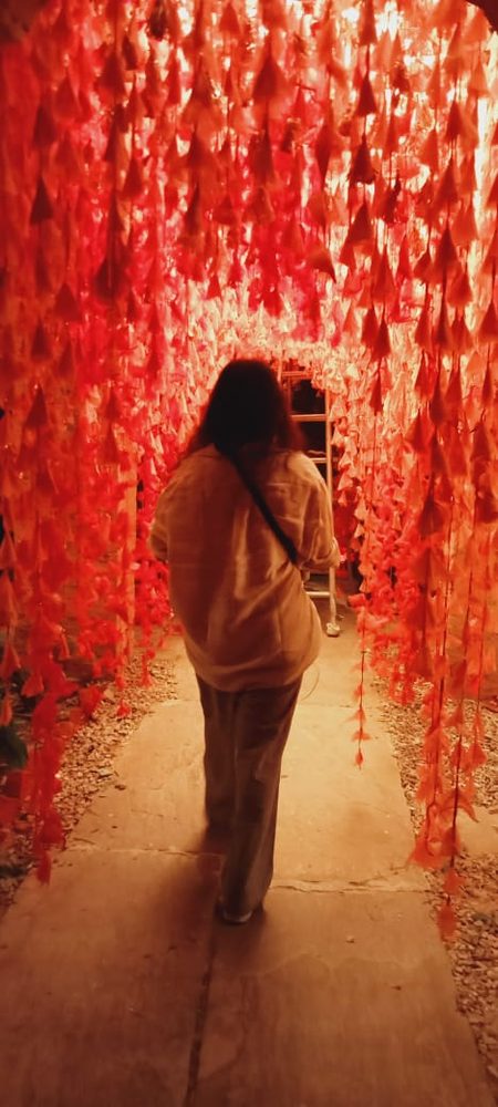 Behind the scenes photo 114