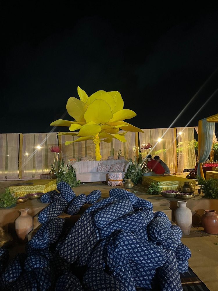 Behind the scenes photo 277