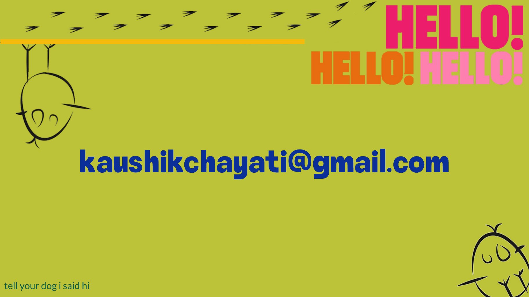 Contact Chayati Kaushik