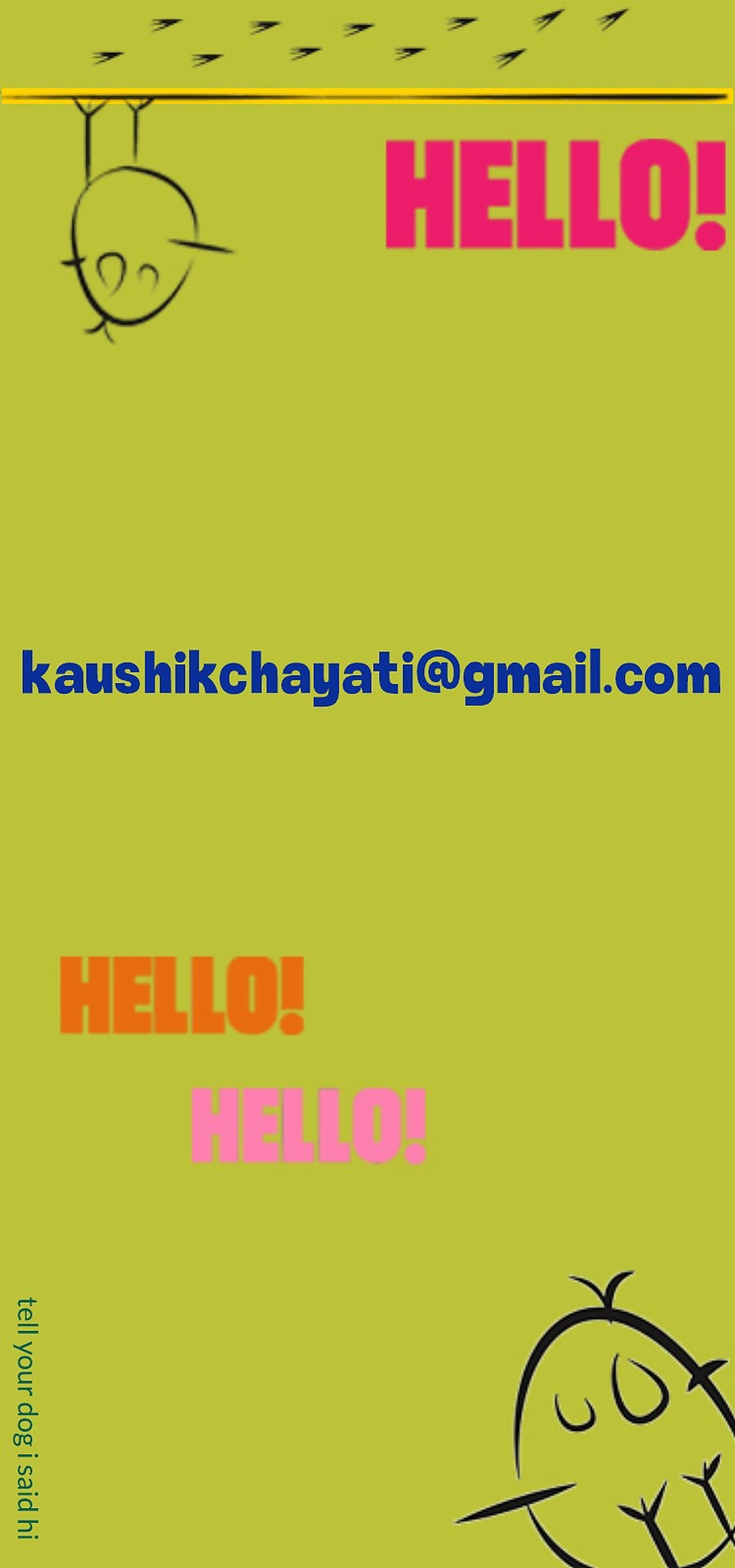 Contact Chayati Kaushik